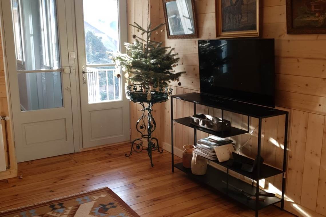 Pic du Midi - LE 41 AVENUE FOCH