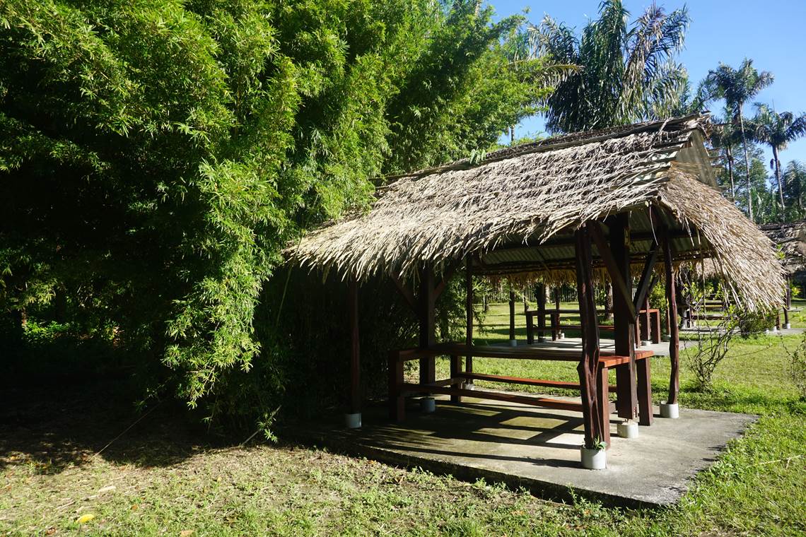 Carbet "kôté forêt"