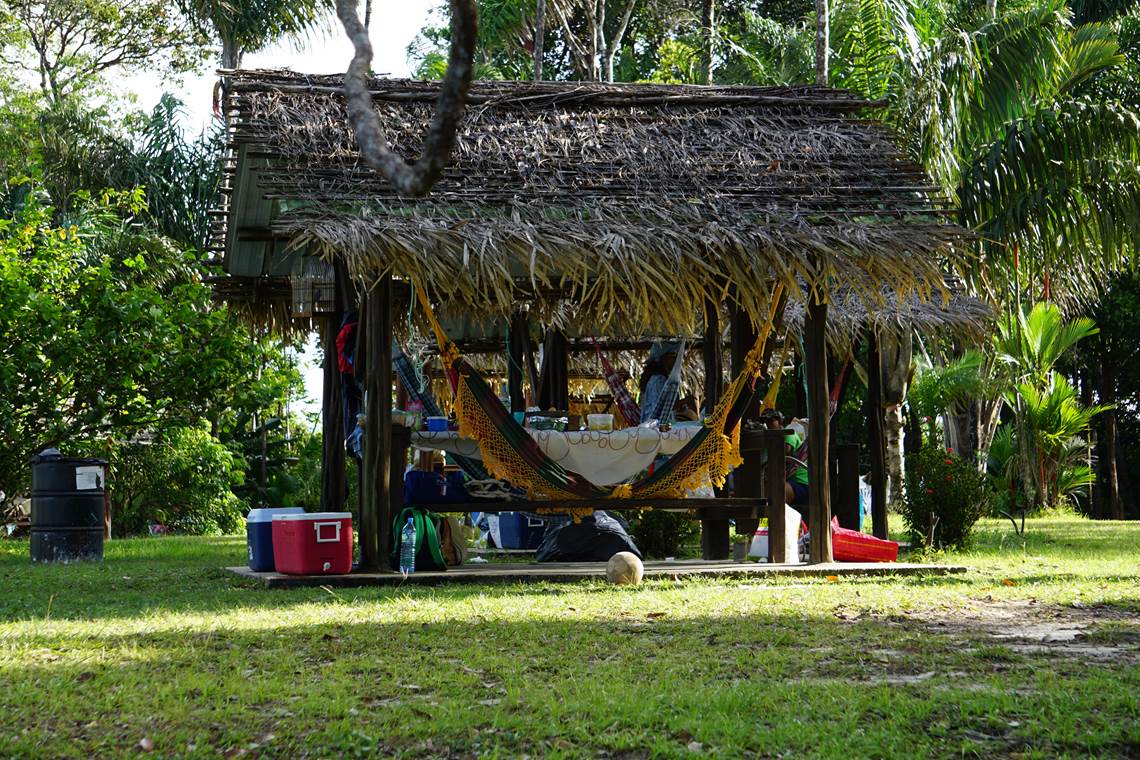 Carbet "kôté forêt"