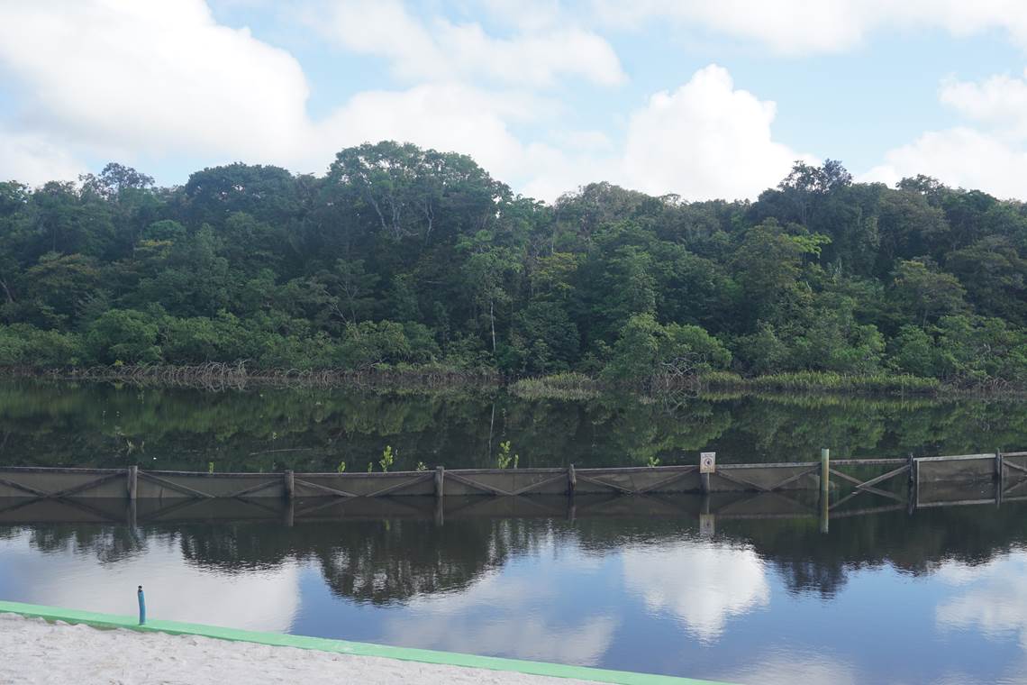 La Mangrove