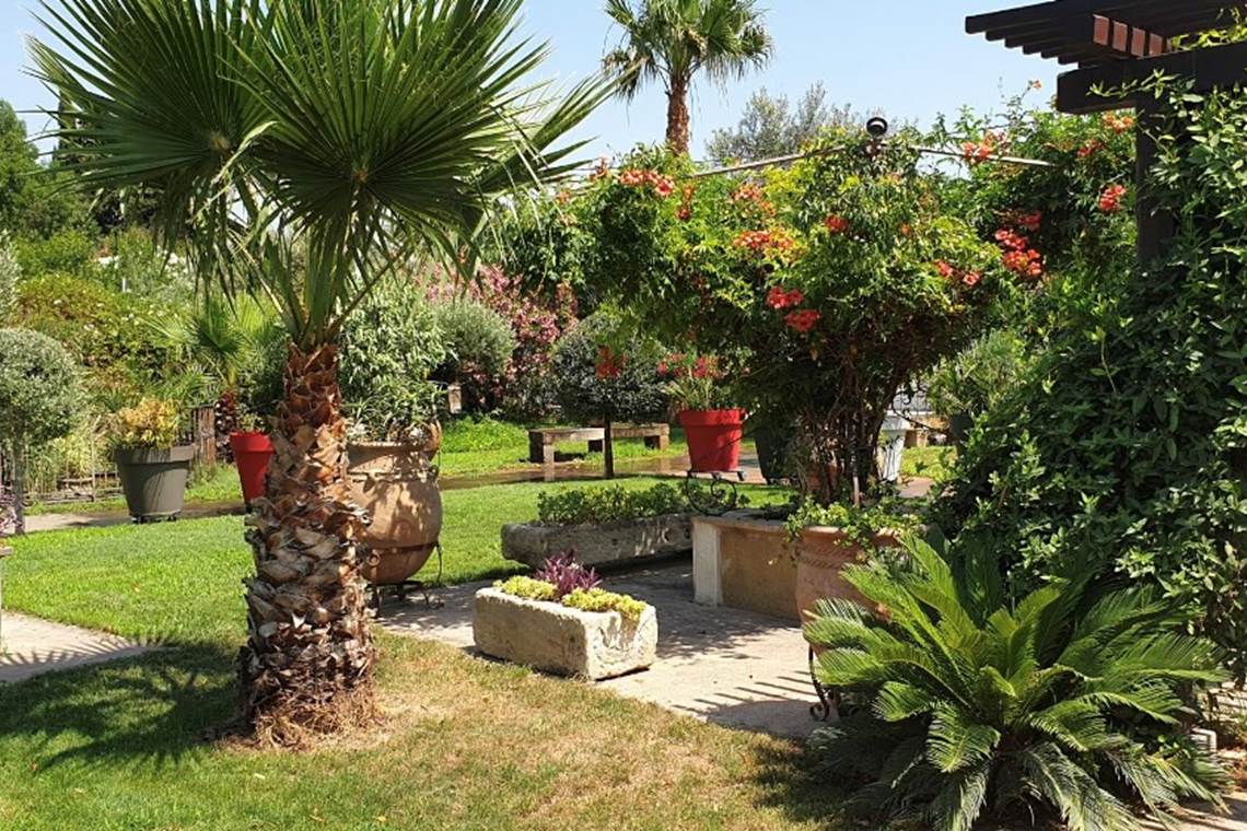 DB5A9621-5019-4329-B794-992B21652E9D