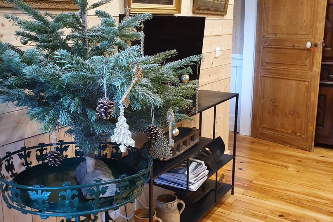 Pic du Midi - LE 41 AVENUE FOCH