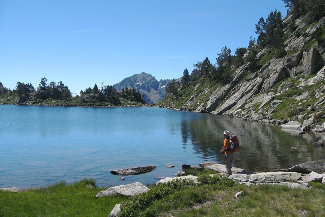 En pleine contemplation