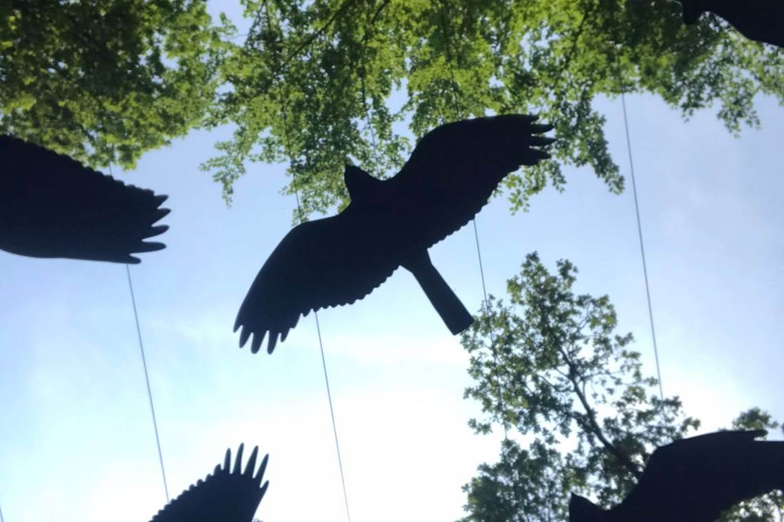 Chlorophylle Parcours cime des arbres