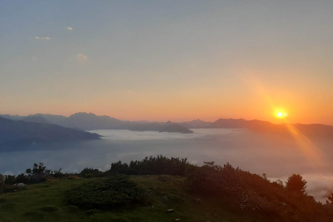 Resized_20200729_211223