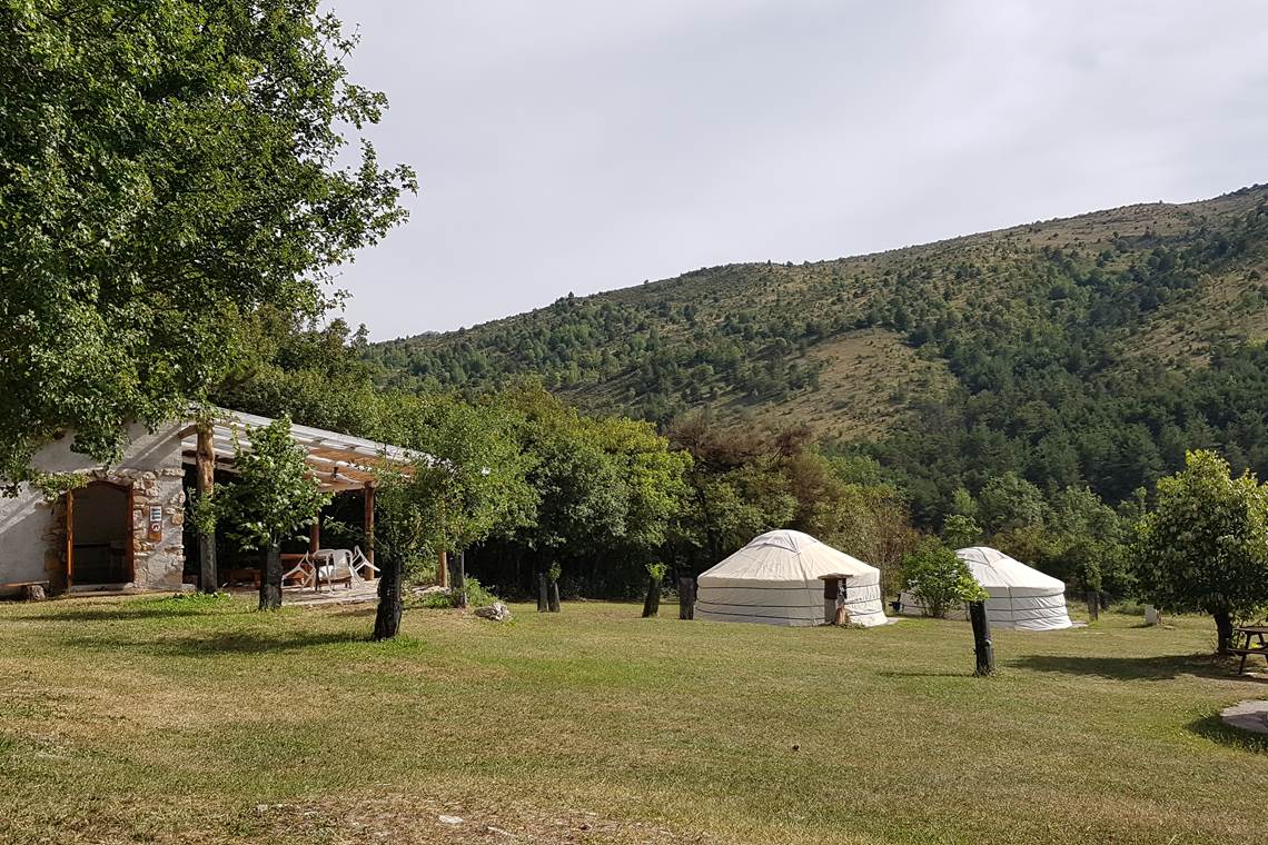 image-553d696f-3b93-4e41-a030-9fb64bd492c5