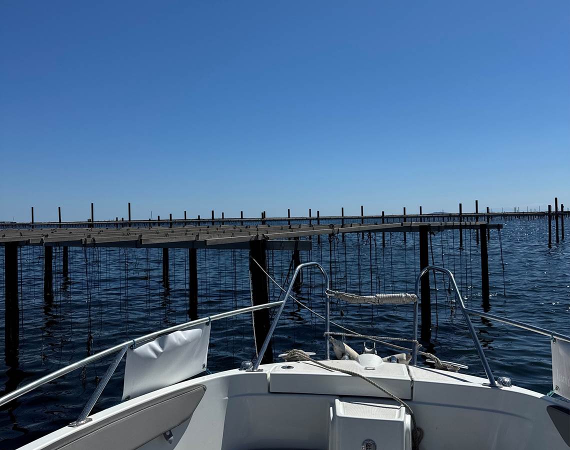 parc à huitres-presta