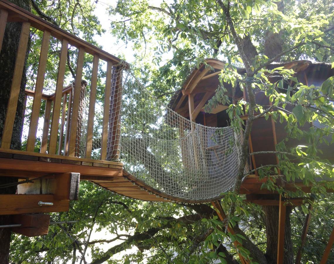 Pont de singe-presta