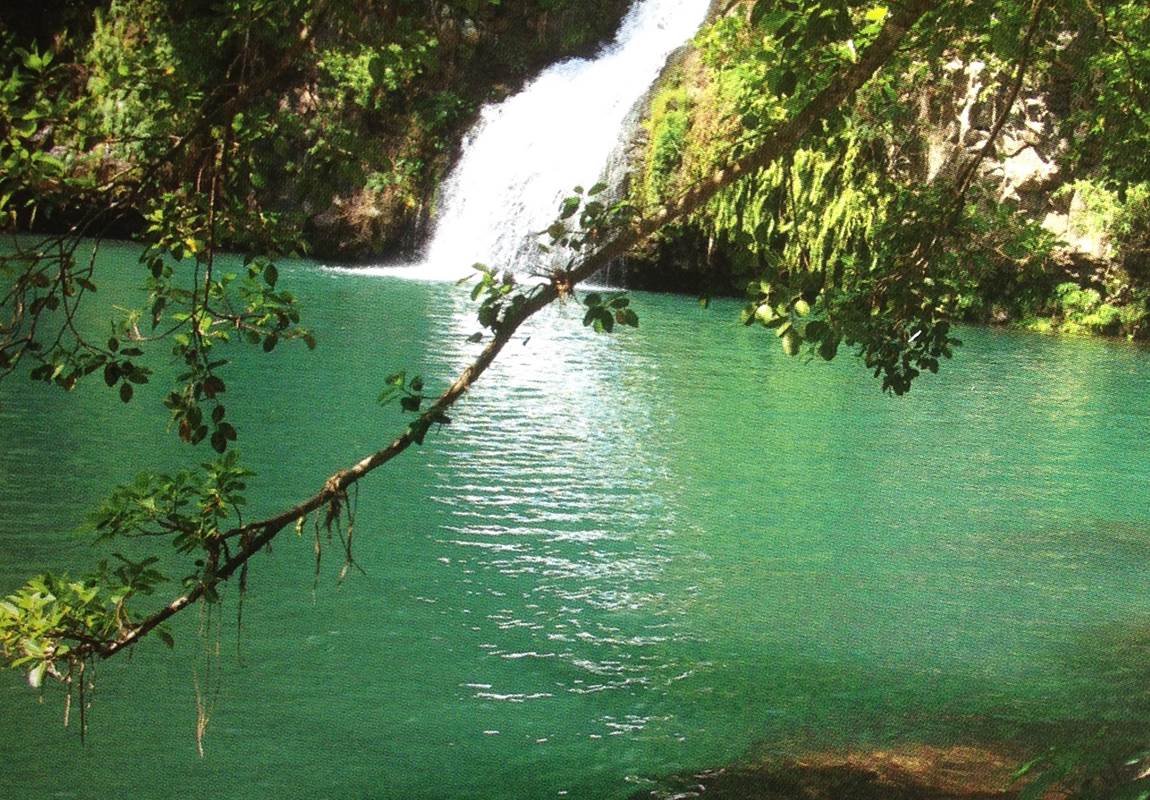 bassin cormoran-page