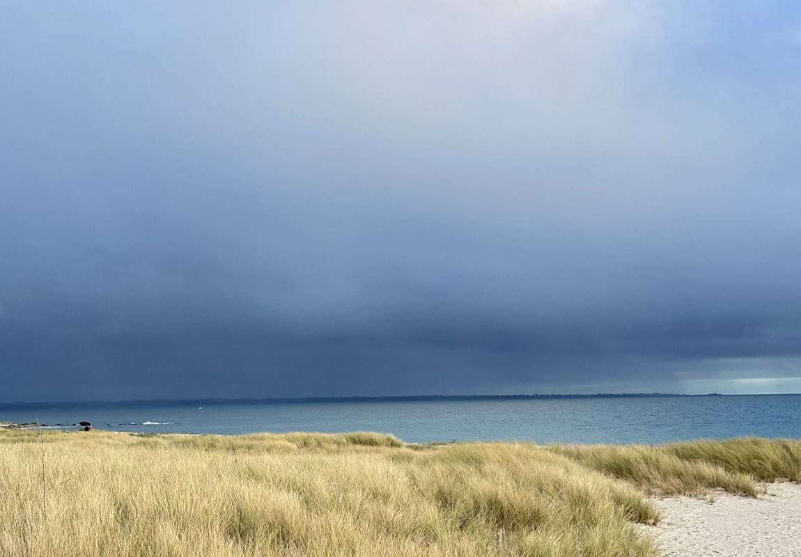 Sentier côtier sous la lumière-news