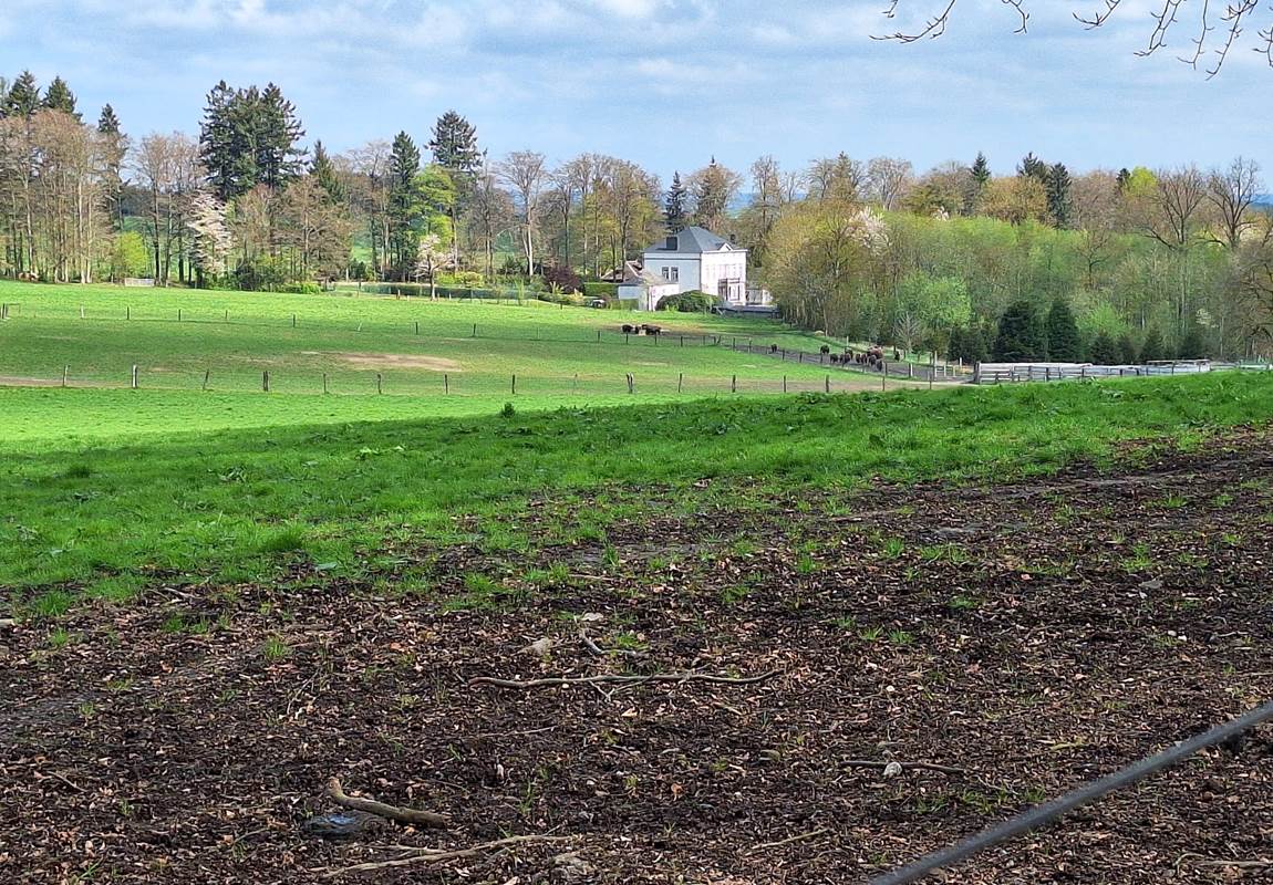 Vue sur le château de Recogne, le village voisin-page