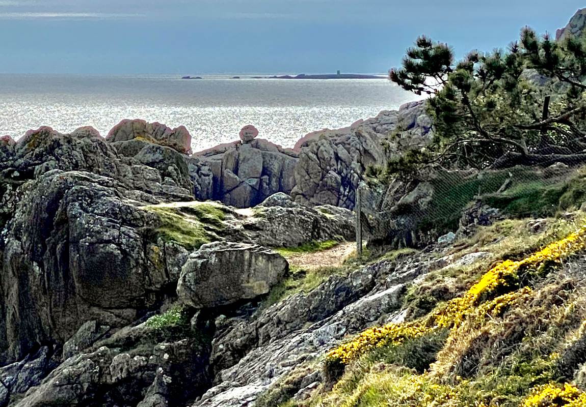 619FDD93-36FD-42FD-8940-F3C159E758A9-page