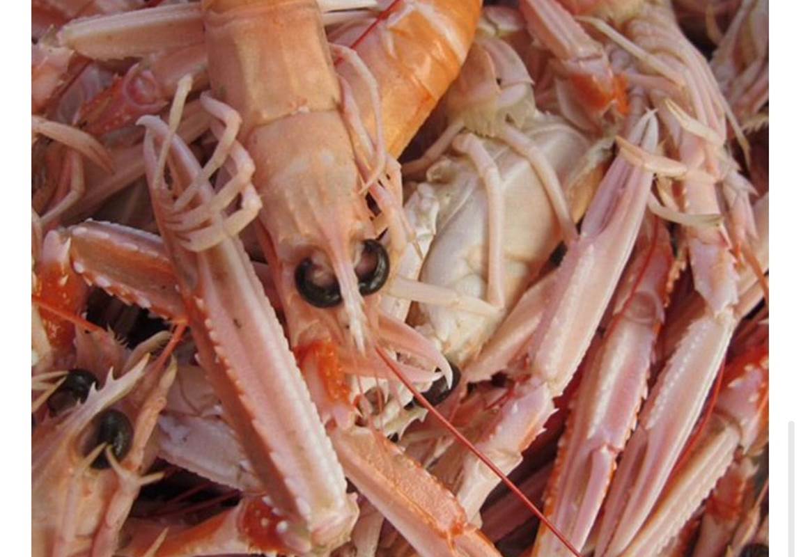 5DAFAFA6-D500-4BFB-B477-CBA9EB8A005B-news