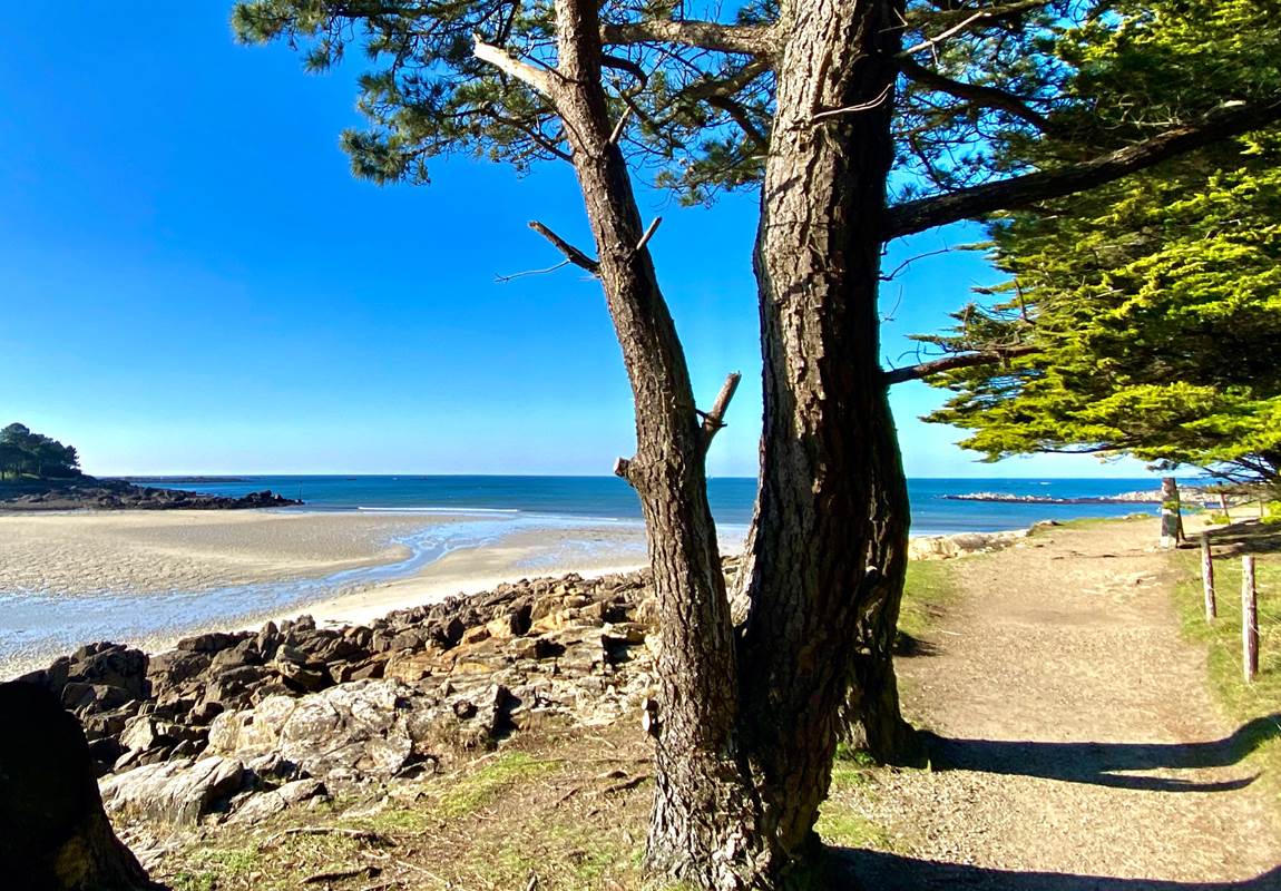 0EFB39FA-4D45-45B2-92B7-FE94F8211AB3-page