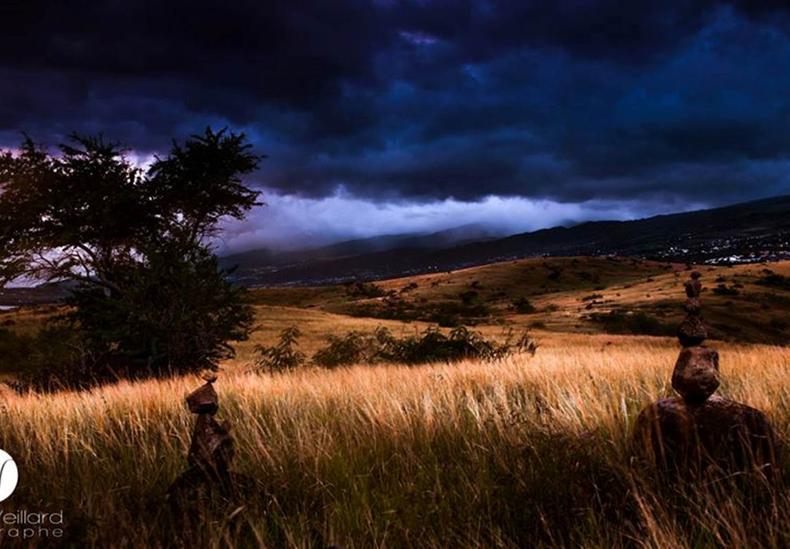 savane réunion-page