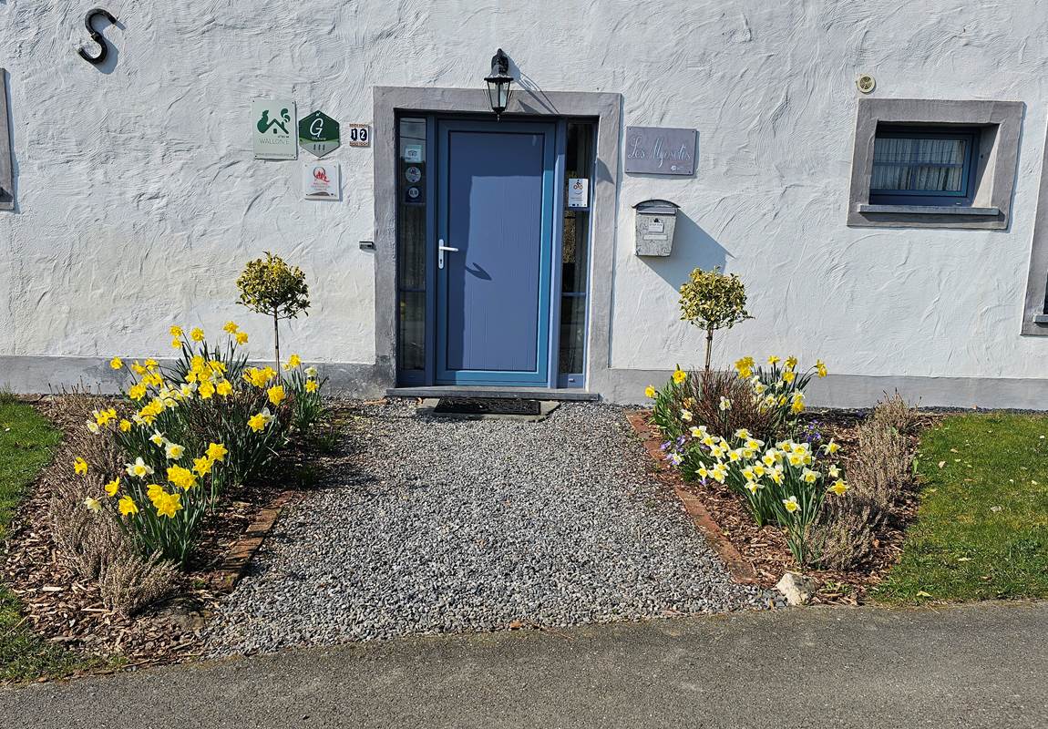 Gîtes Les Myosotis-news