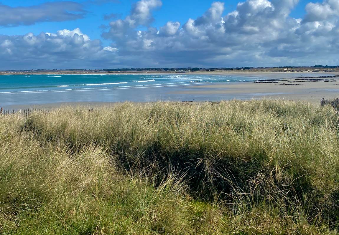 93F81B2F-48D6-4DFE-95D6-DEF40413DE68-page