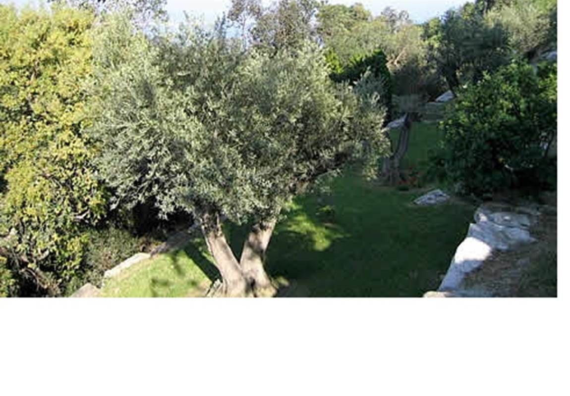 amazing sea vue villa 7 bedrooms 6 bathrooms south france riviera garden-page