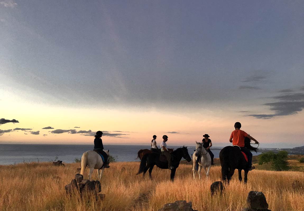 Cheval couché du soleil-page