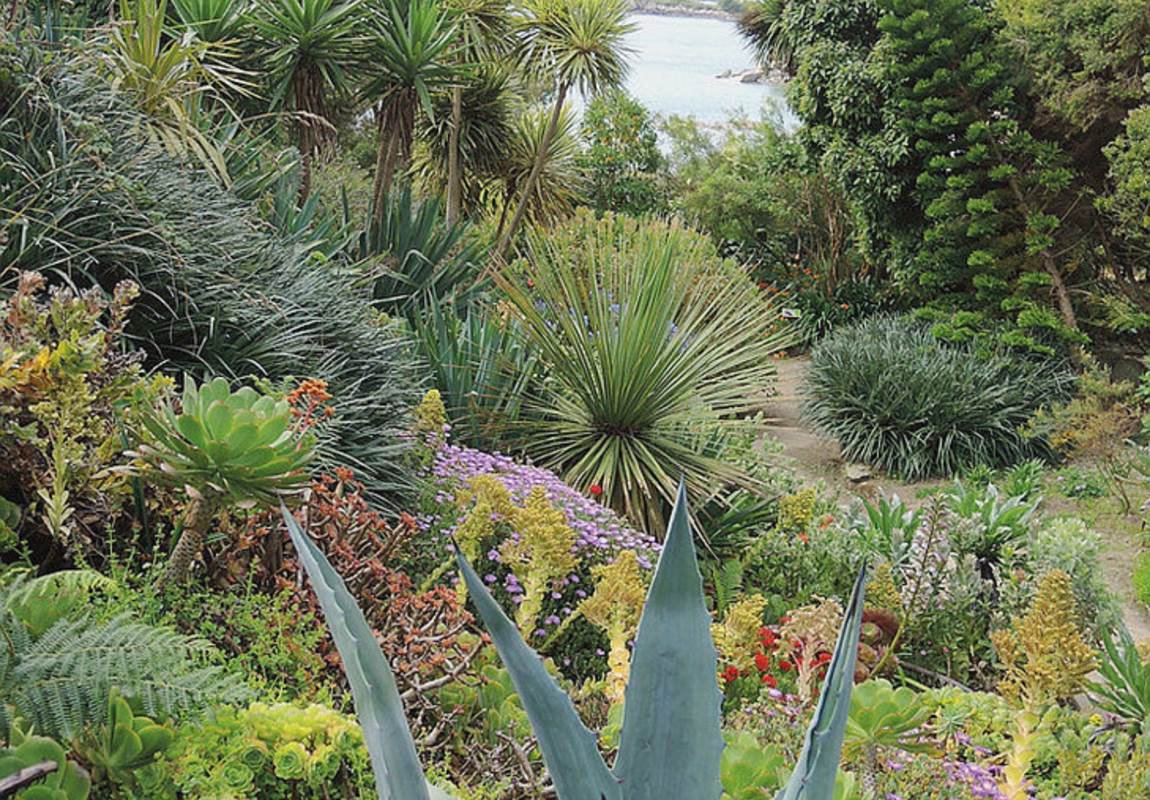 Jardin Georges Delaselle-page