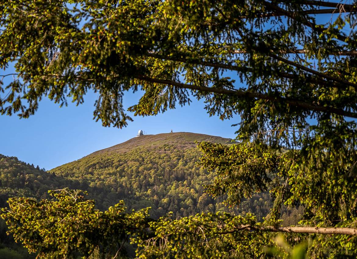 Le Grand Ballon depuis les cabanes dans les arbres