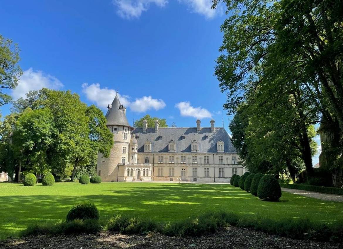 Vue sur le château