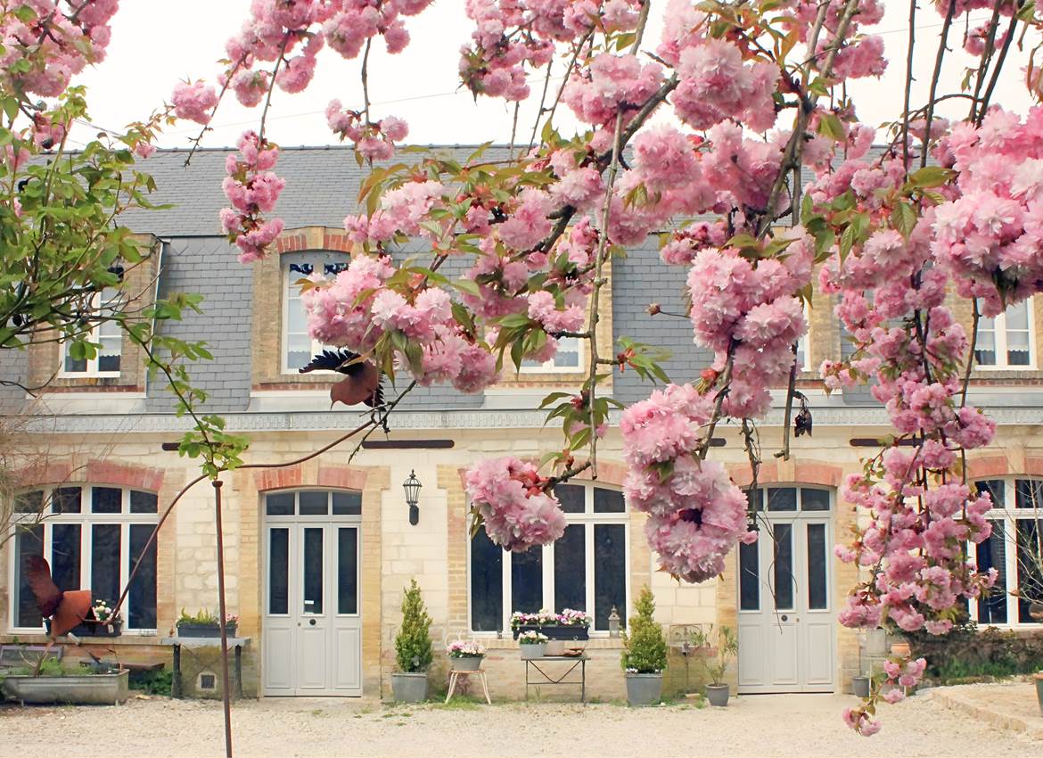 Design sans titre-39