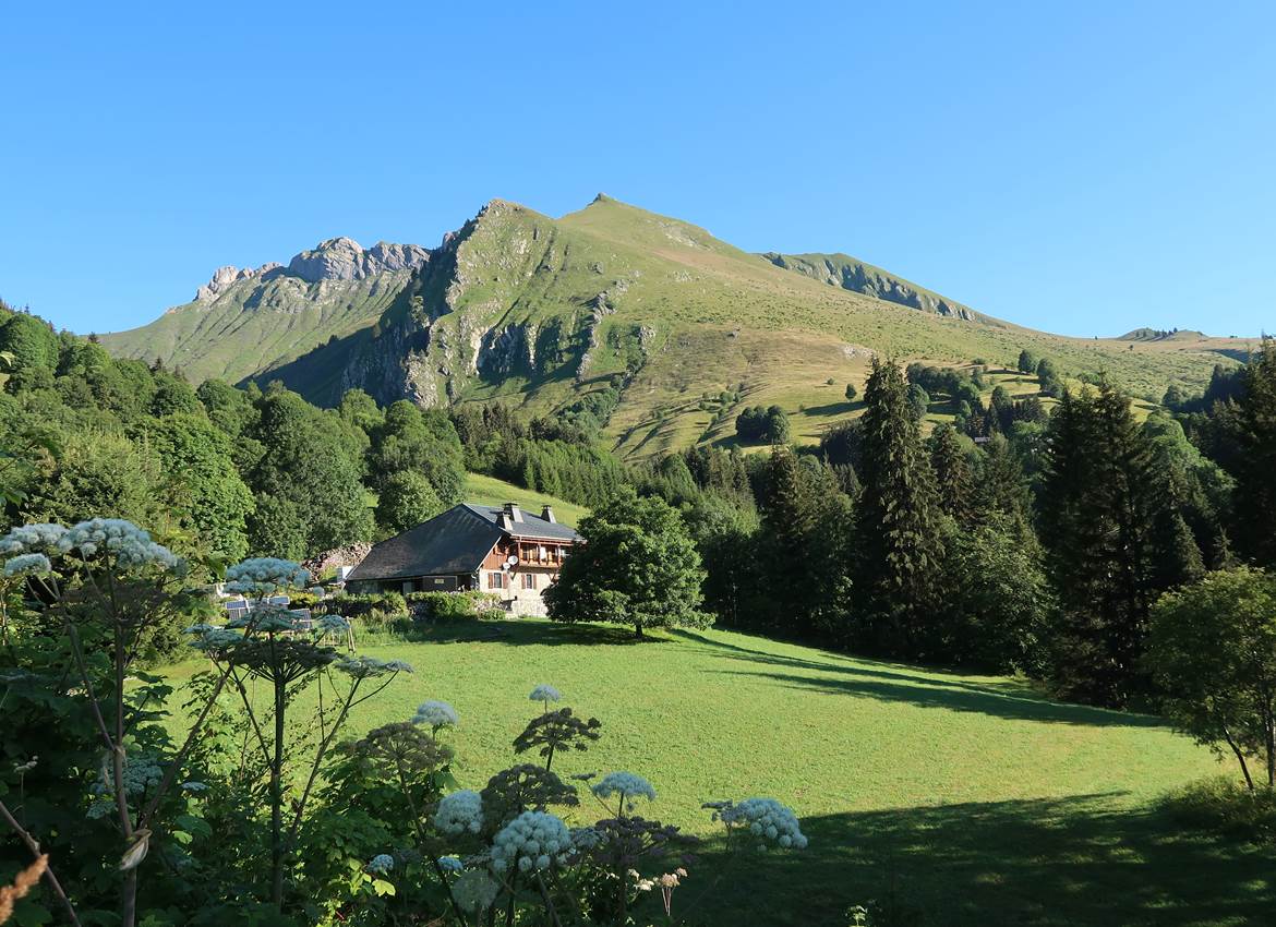 Vue panoramique du chalet d'alpage de Beauregard entouré de sapins et montagnes du Chablais à Taninges.