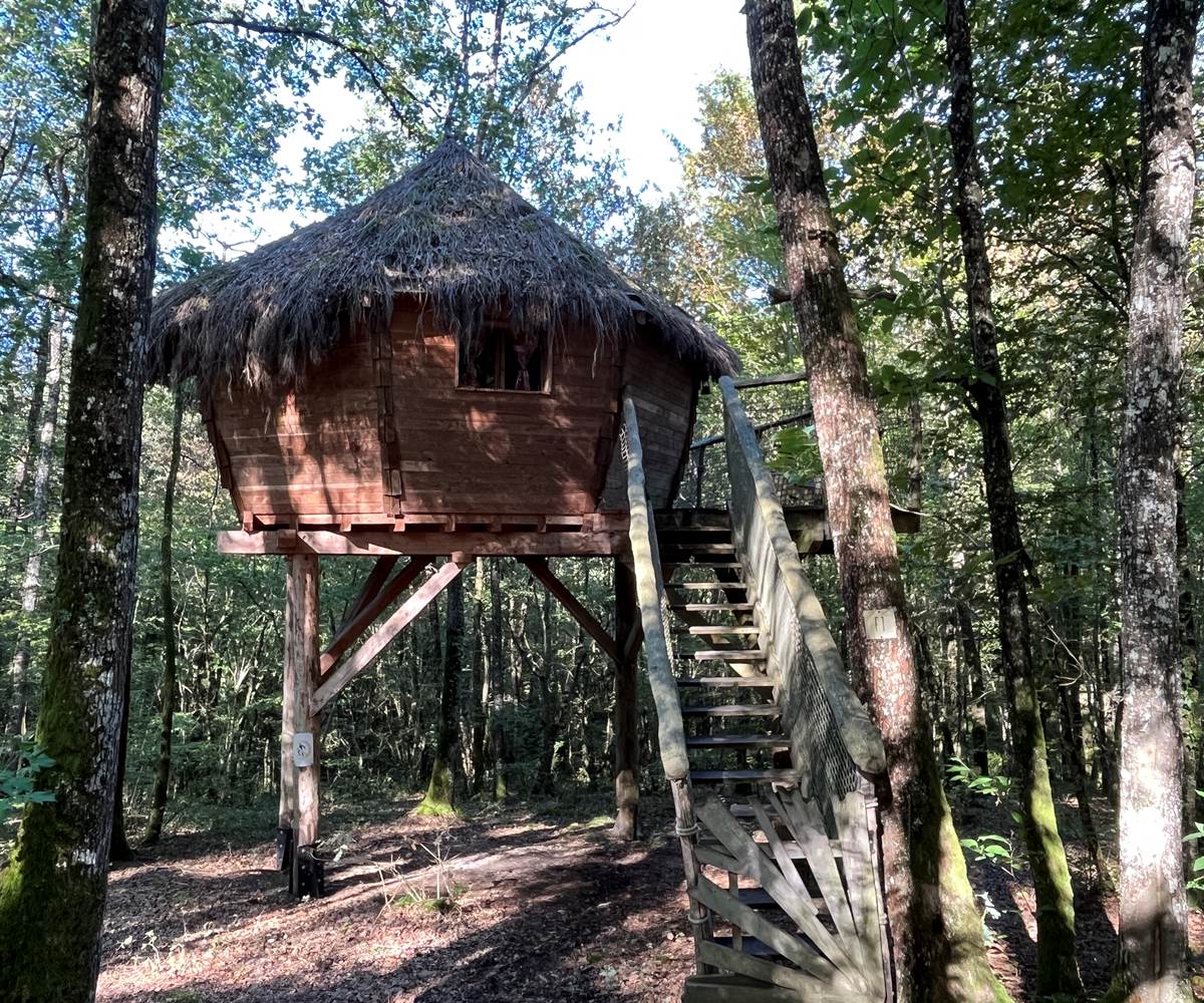 Cabane