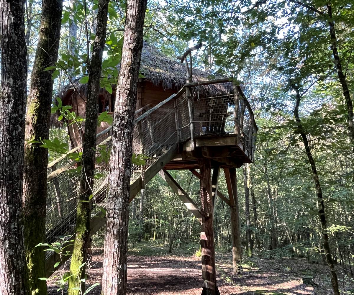 Cabane