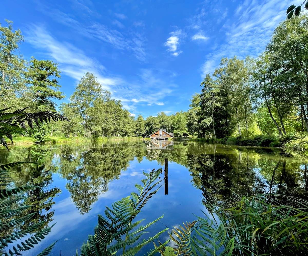 brasovert_gite_ardenne42