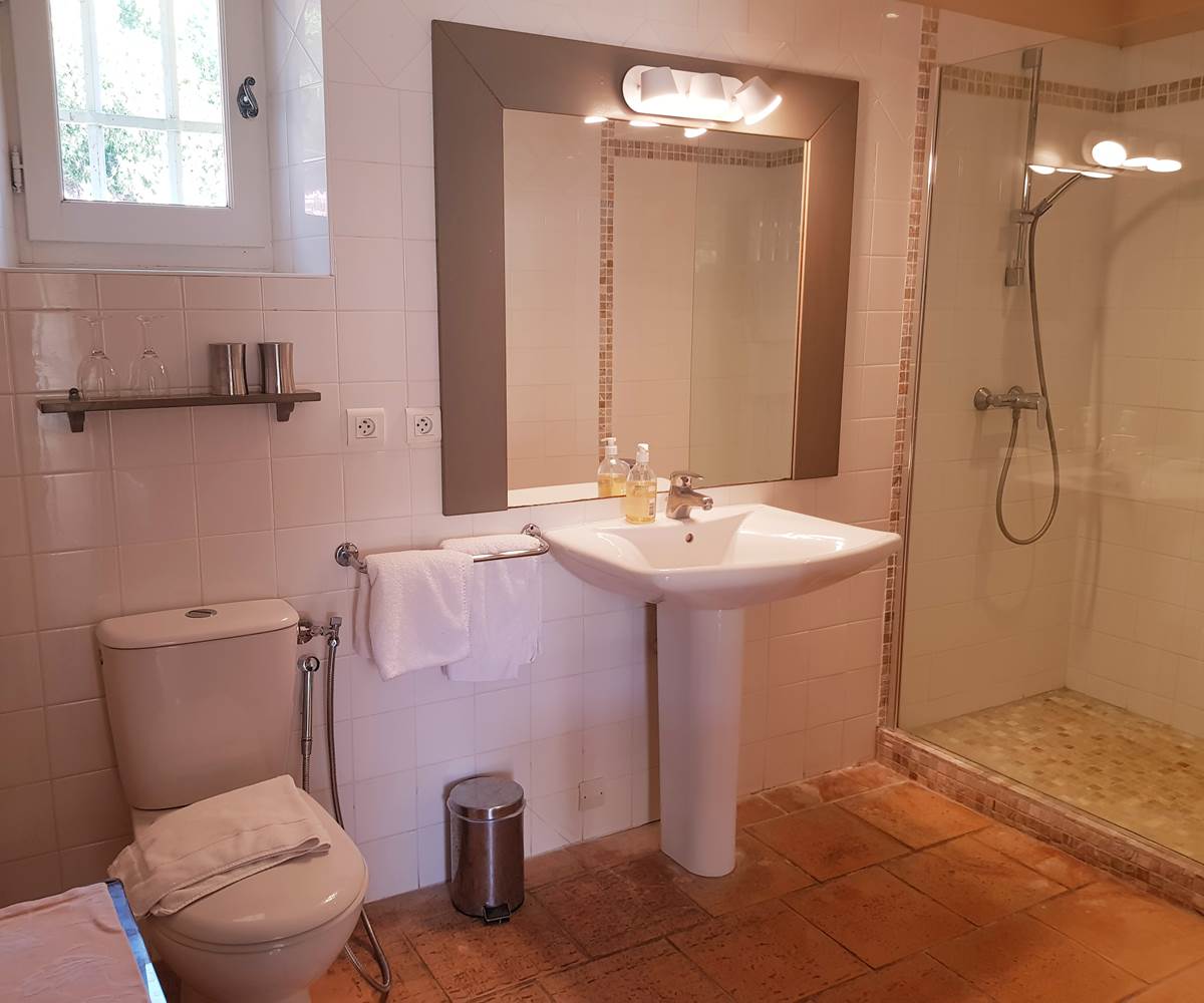 salle de bains chambre 12