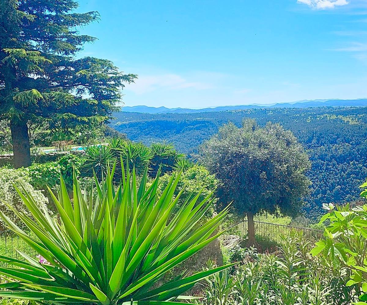Calme, beauté, et lumière provençale au rendez-vous.