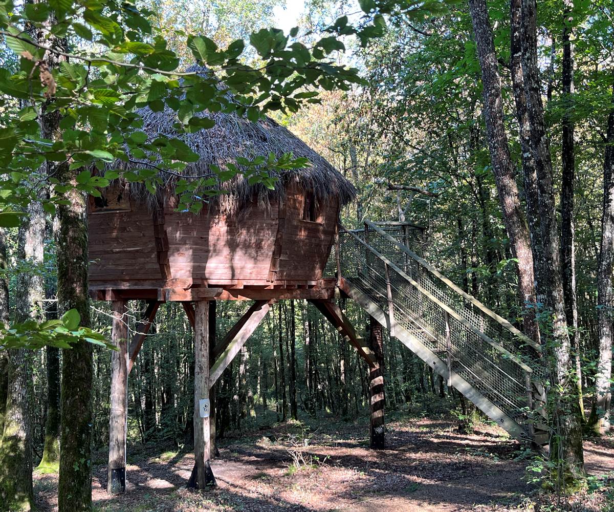 Cabane