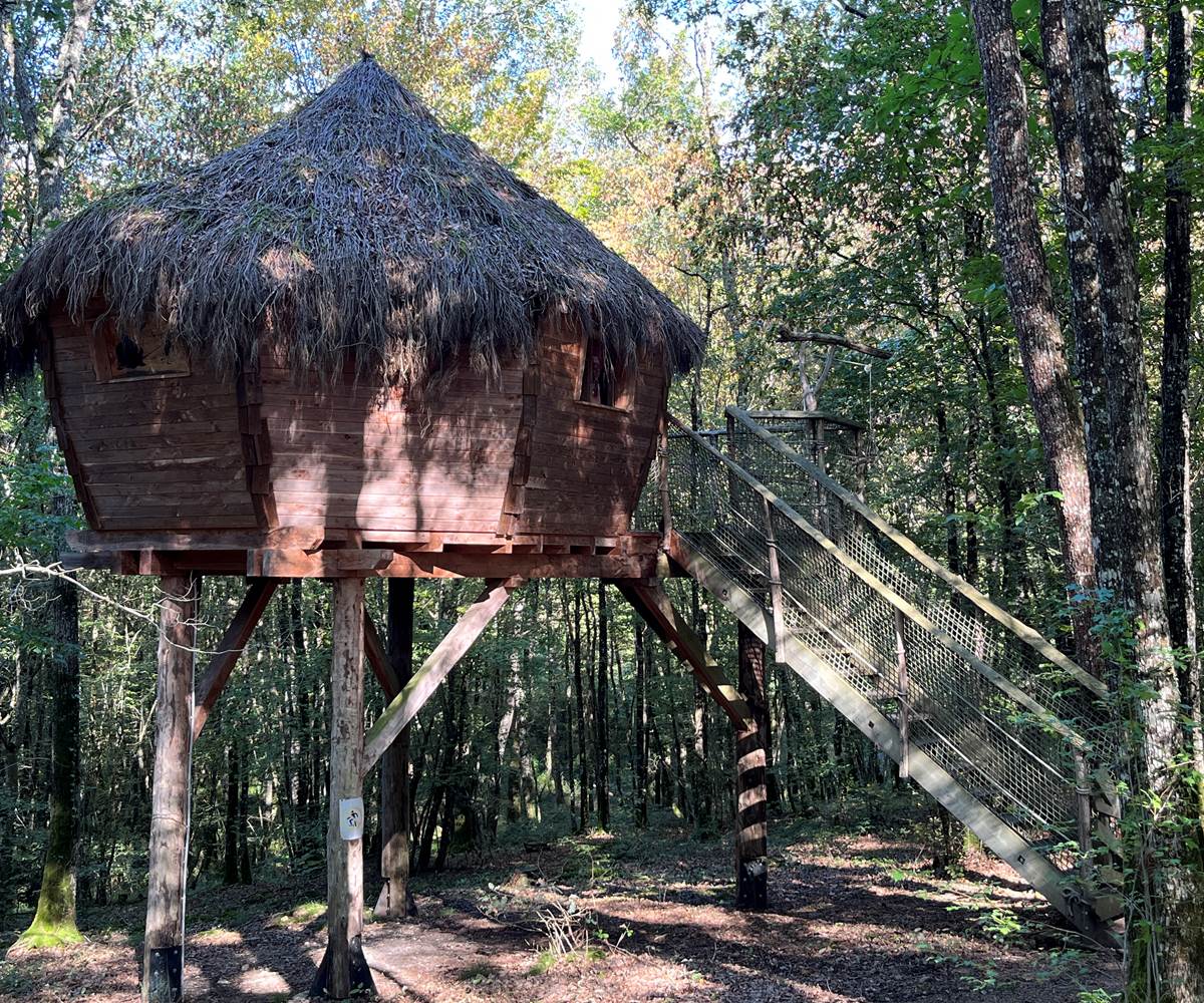 Cabane