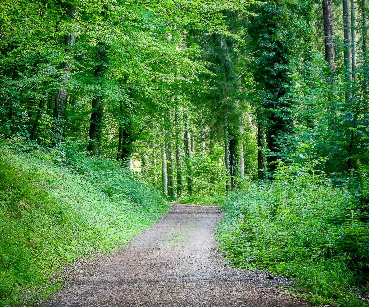 Chemin de promenade Vallée de Rabais