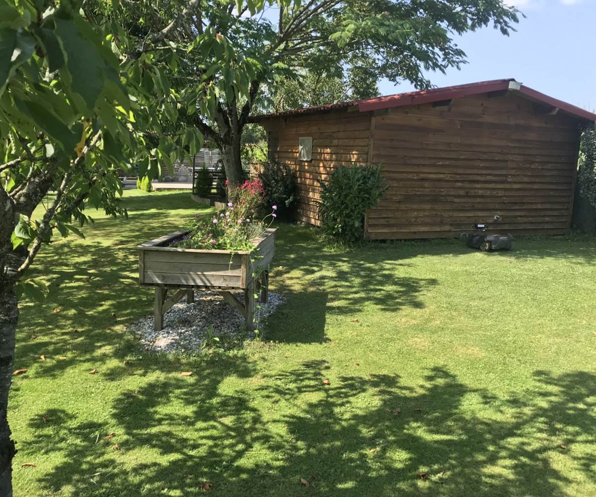 arrière sous les arbres