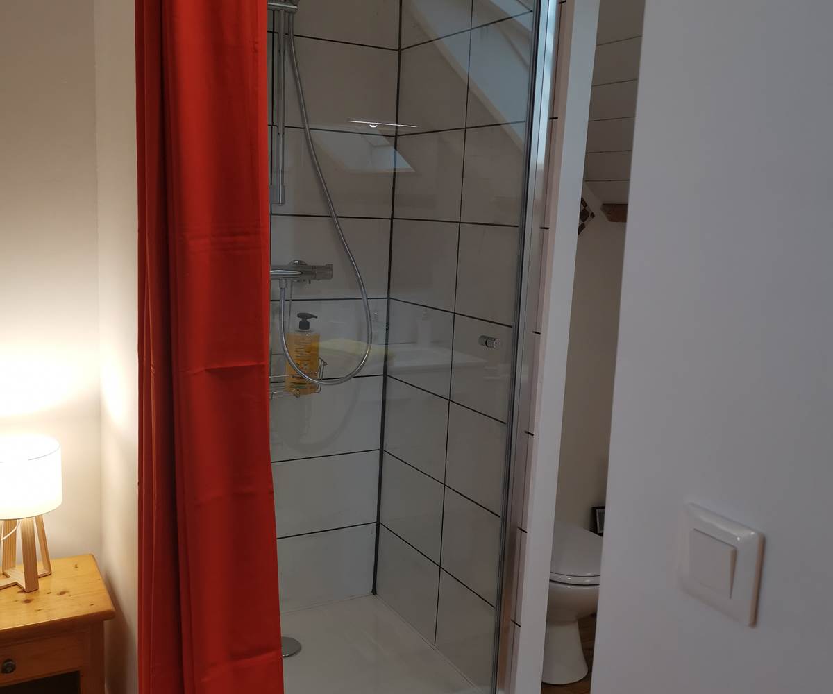 Douche de la chambre d'hôte Les 3 cèdres du Moulin de La Retardière à Orvault