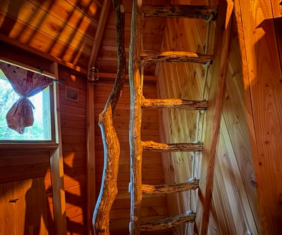 Intérieur Cabane