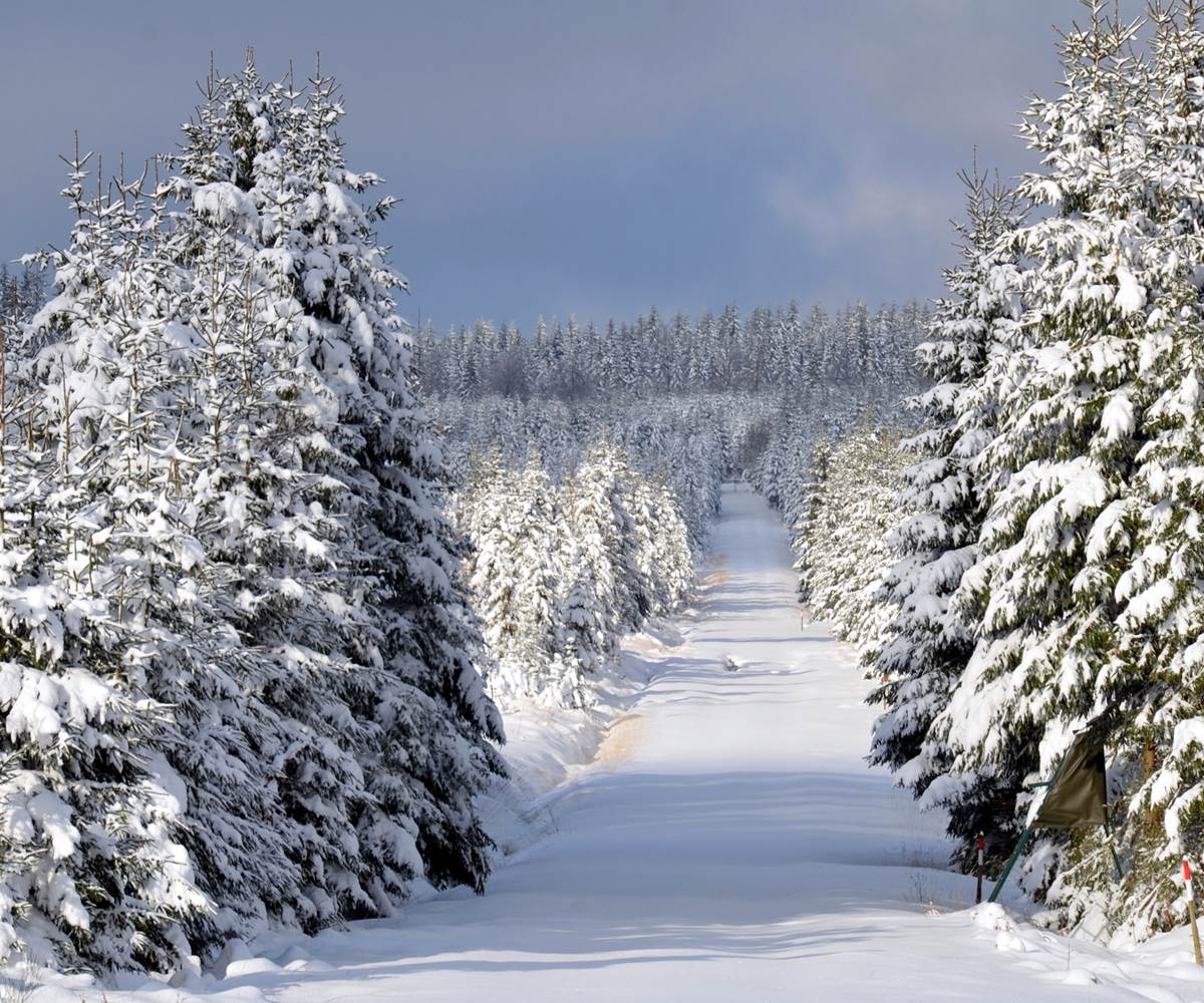 brasovert_gite_ardenne50