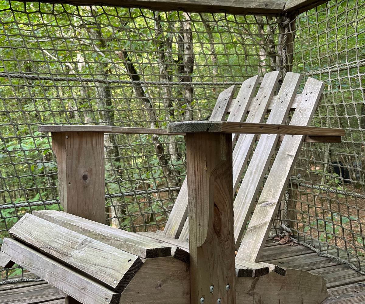 Terrasse Cabane