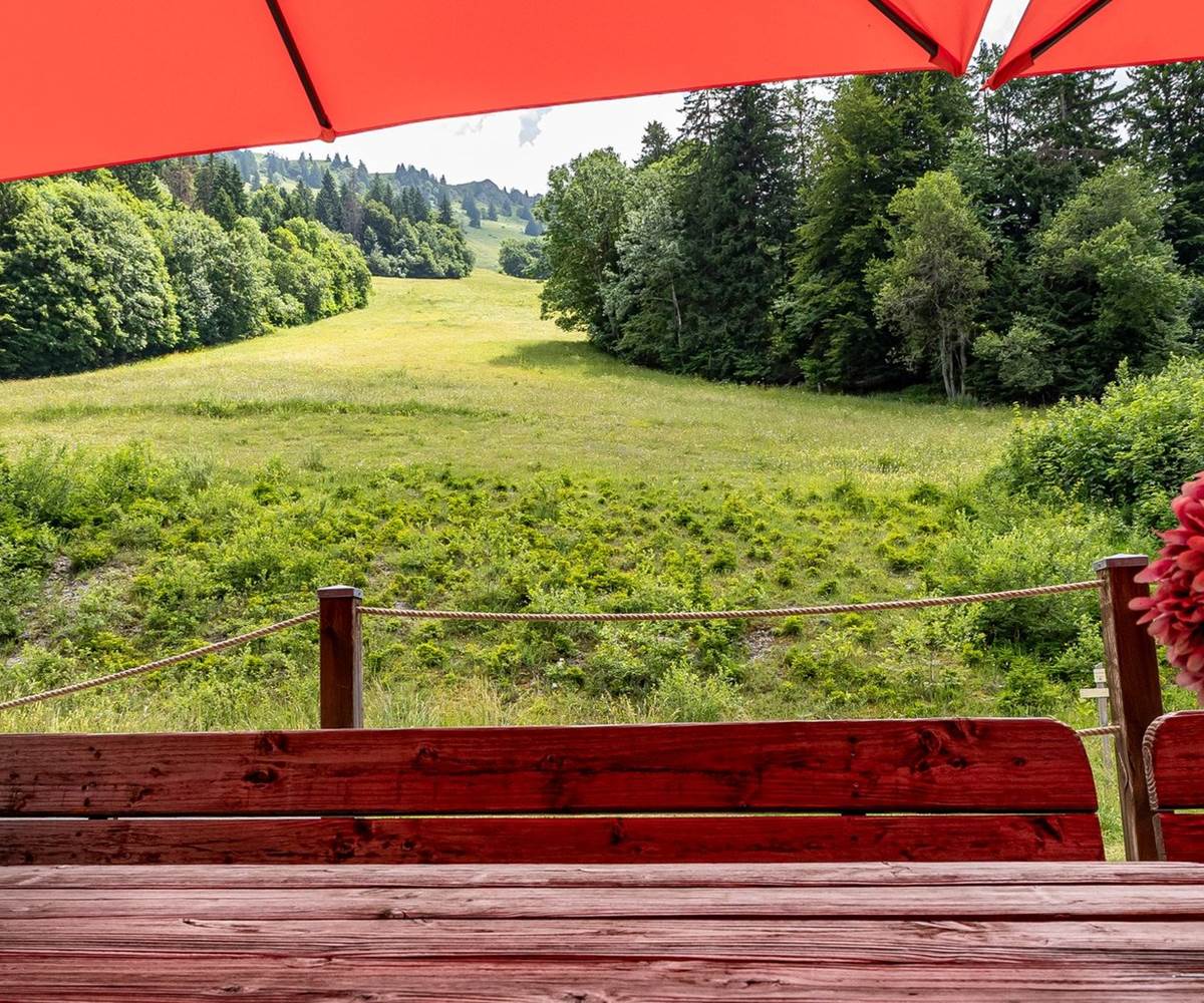 La terrasse avec vue