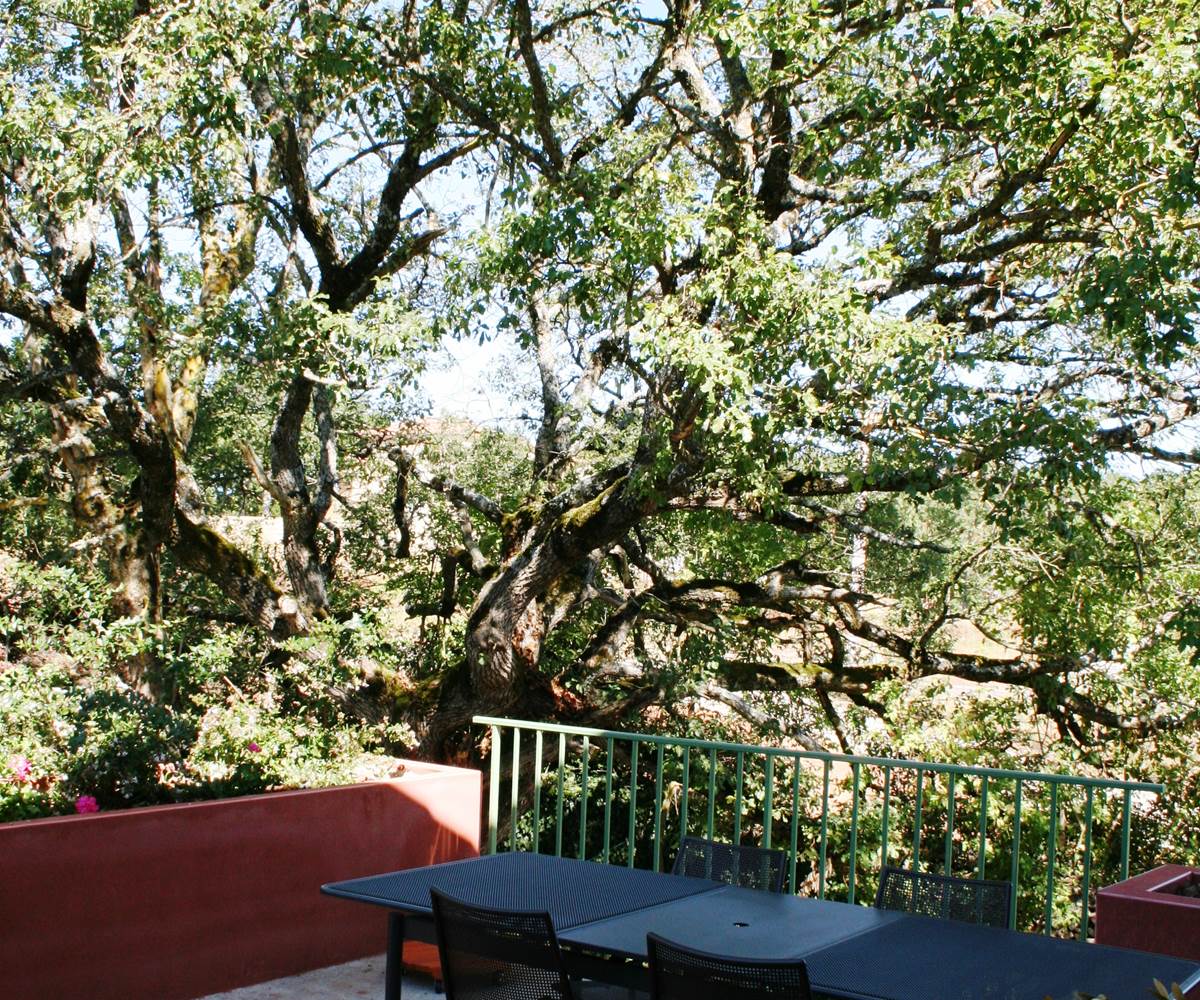 Terrasse ombragée à l'entrée du gîte