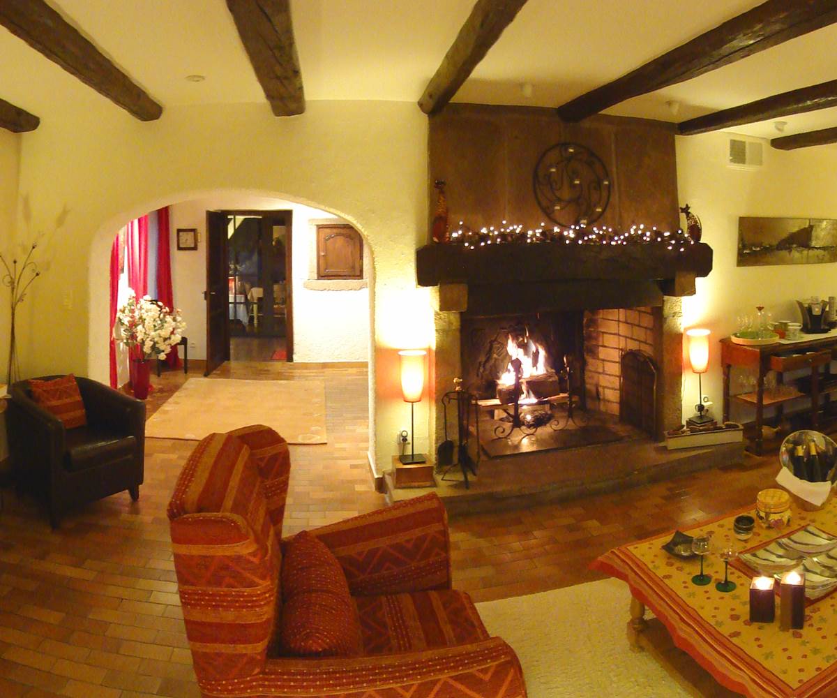 le salon avec la cheminée