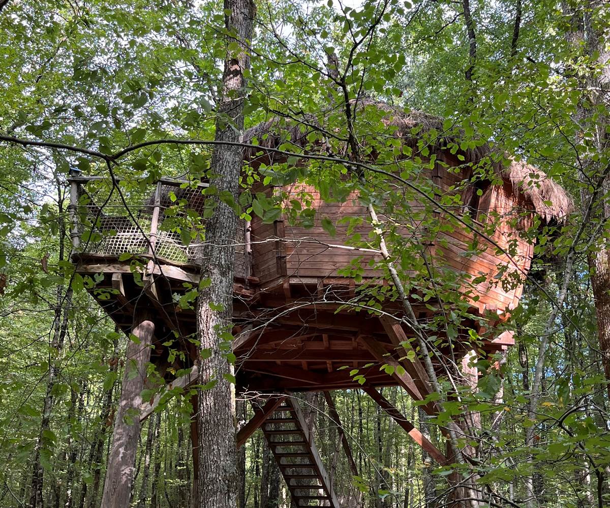Cabane