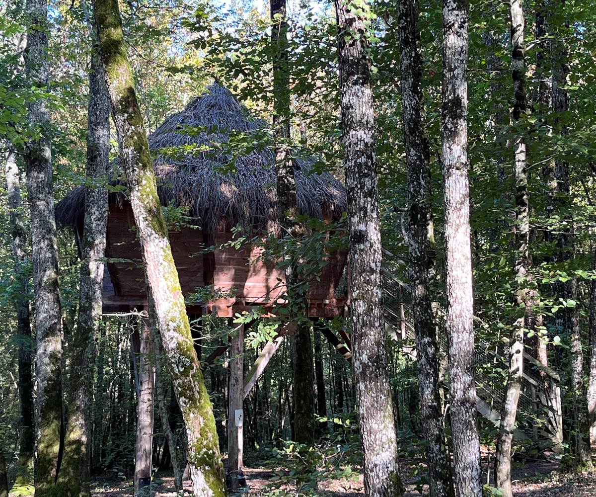 Cabane