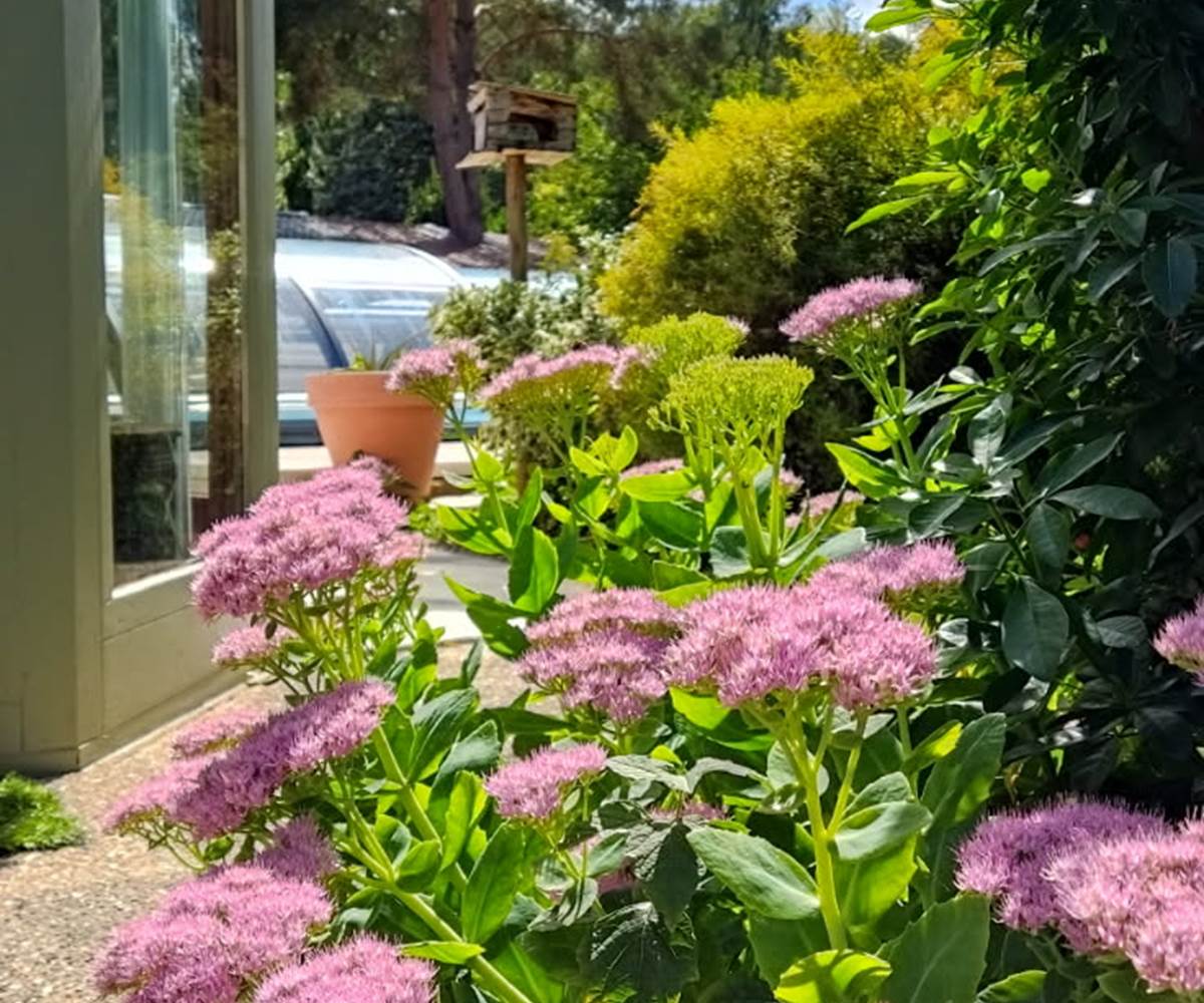 IMG_20250901_170601 (6)