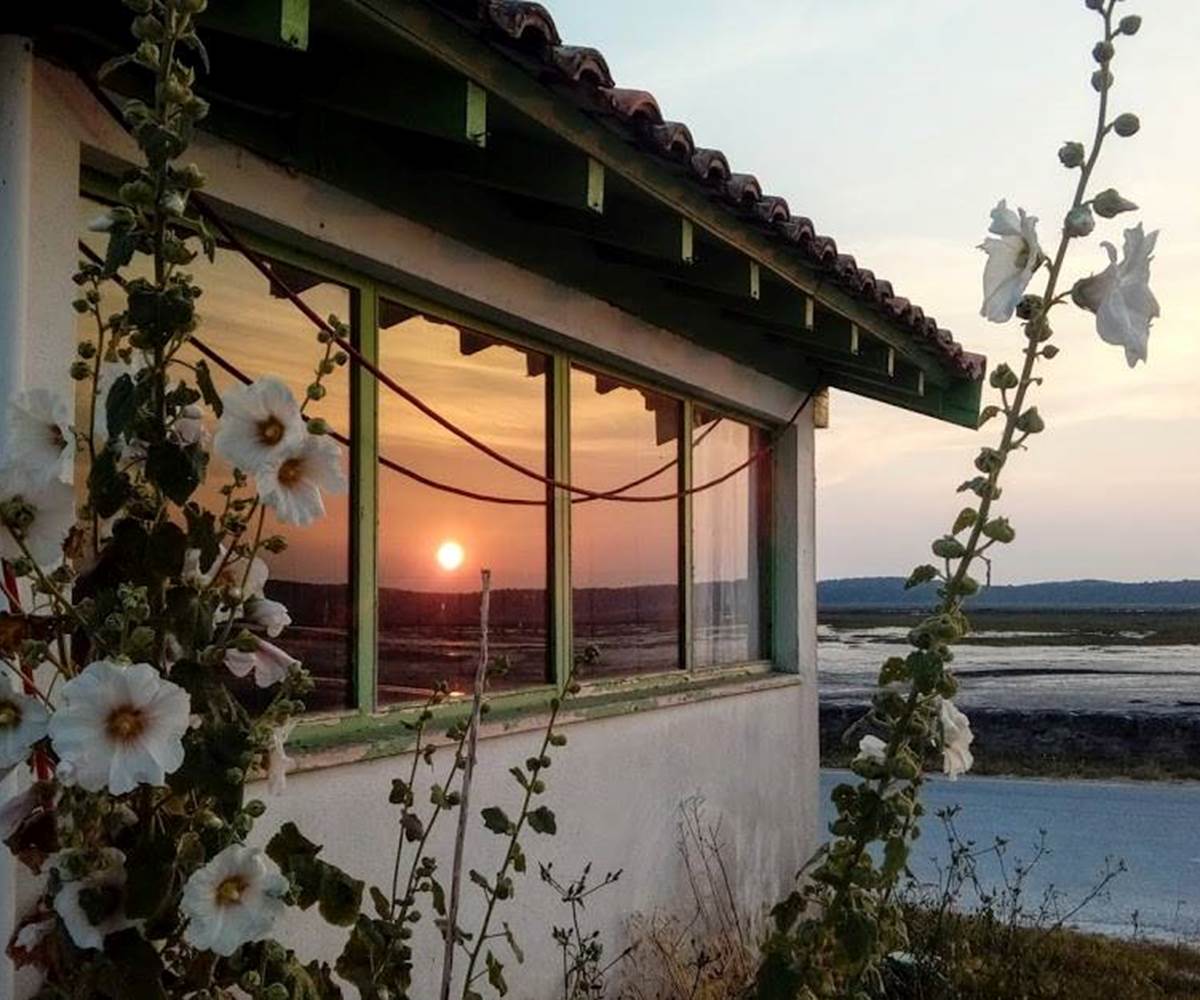 location-vacances-locaplage-200m bassin d'arcachon-lanton