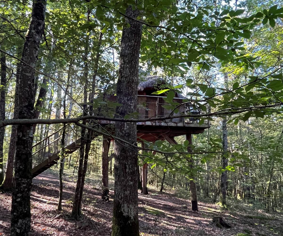 Cabane