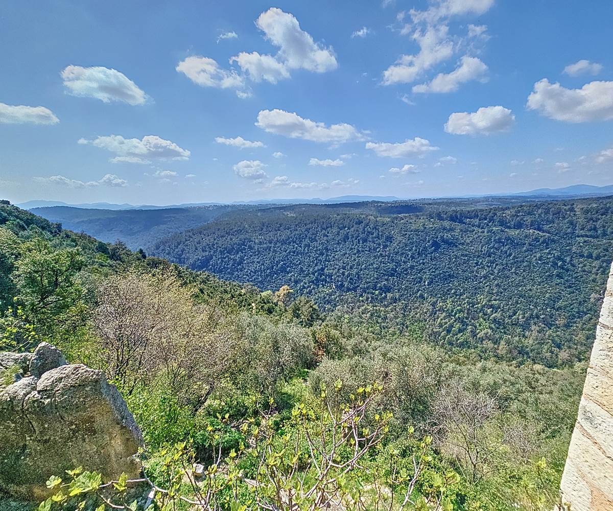 Nichées entre collines et falaises, les gorges de la Siagne offrent un décor spectaculaire et préservé.